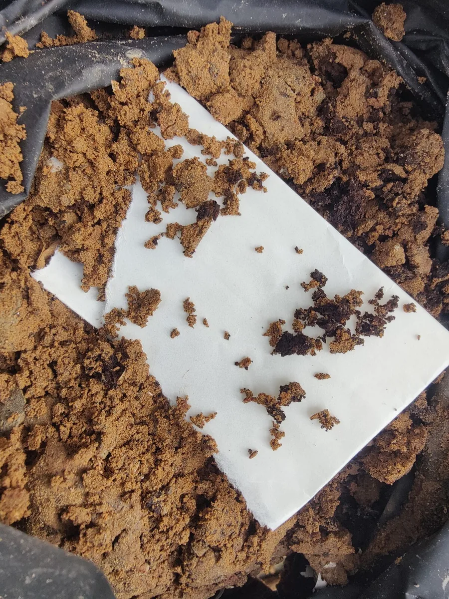 IDA film fragments recovered from soil, week 1