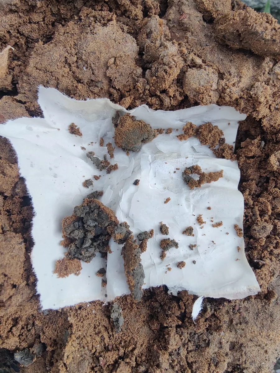 IDA film fragments recovered from soil, week 2