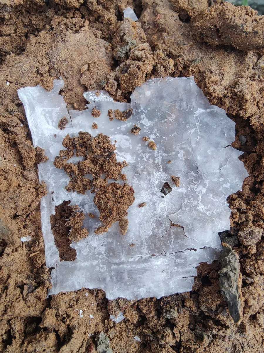 IDA film fragments recovered from soil, week 3