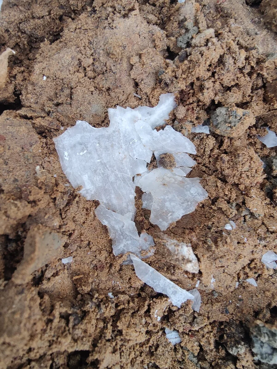 IDA film fragments recovered from soil, week 4
