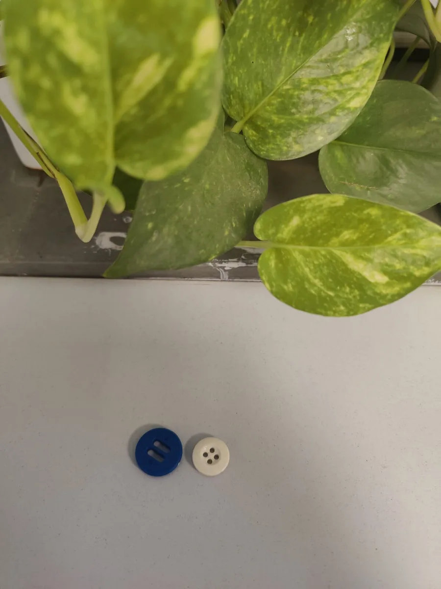 IDA moulded buttons, two colourways